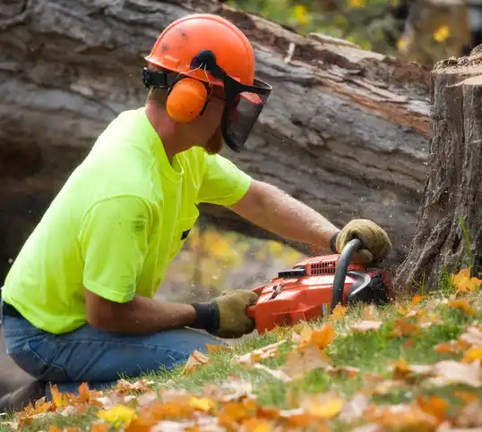 tree services Upper Sandusky